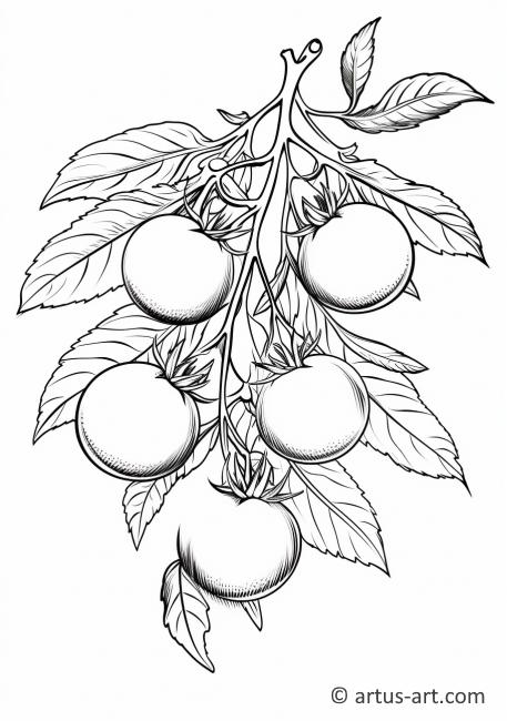 Cherry Tomatoes Coloring Page